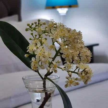 Consoli Home-3
